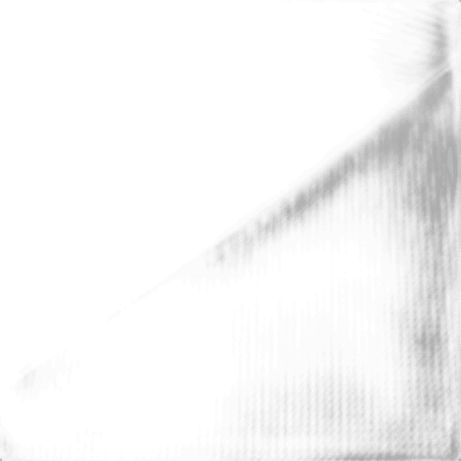 Carl's Place Premium Impact Screen (120")